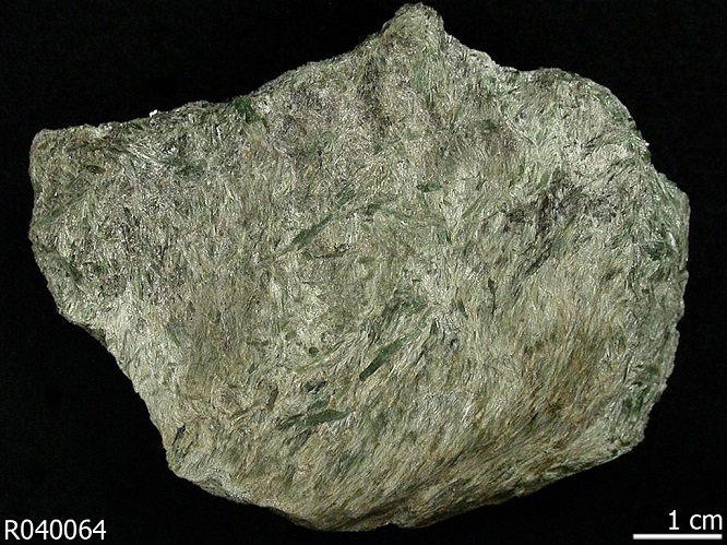 actinolite2020(1).jpg