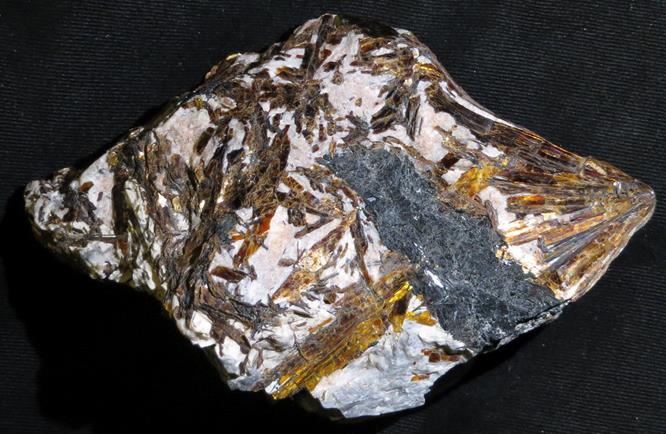 astrophyllite2.jpg