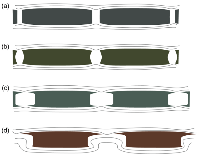 boudinage2020(2).png