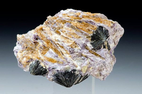 charoite7.jpg