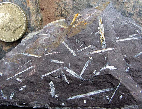 chiastolitehornfels.jpg