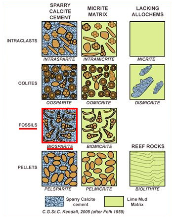 classificazionefolkbiosparite.jpg