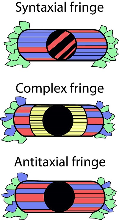 fringes2017(1)