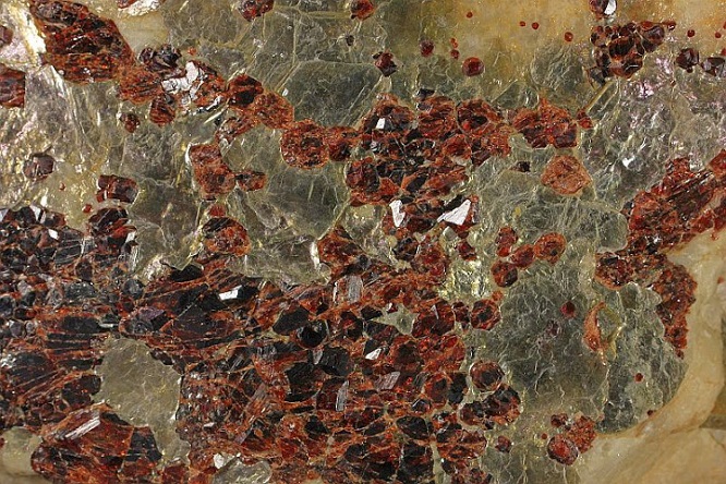 garnet(pegmatite1).jpg