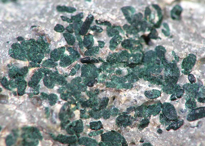 glauconite34803(1).jpg