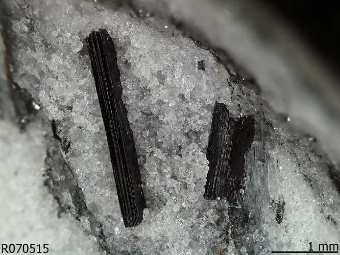 glaucophane2020(2).jpg