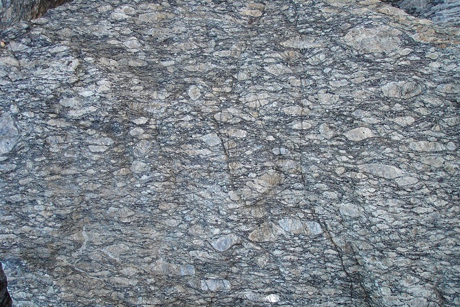 gneiss2020(5).jpg