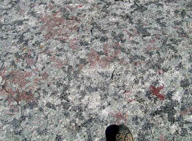 ilimaussaq2017(5).jpg