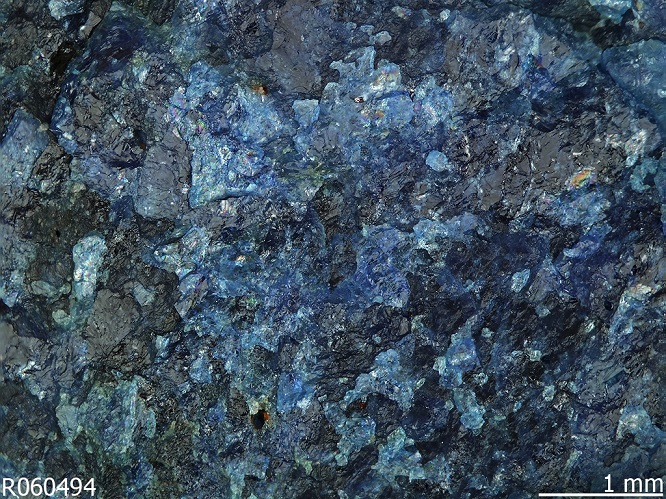 lazulite2020(2).jpg