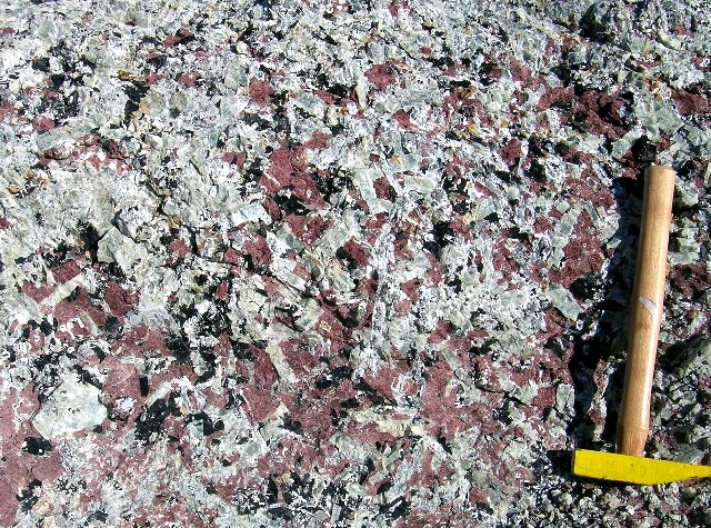 naujaite(1).jpg