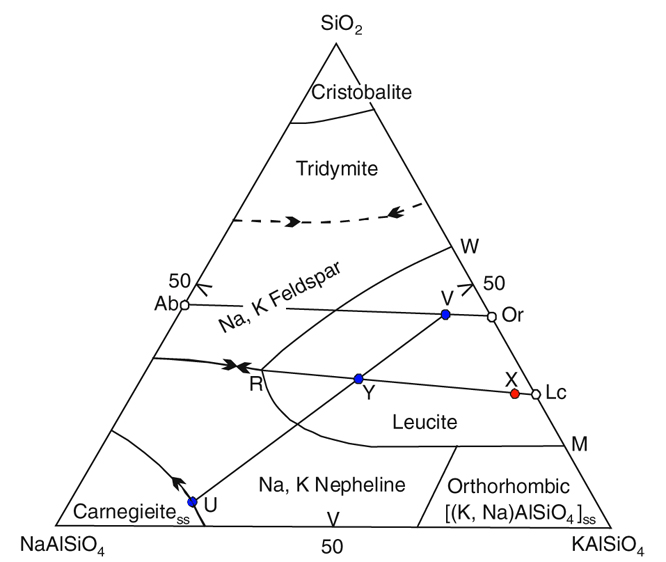 pseudoleucite.jpg
