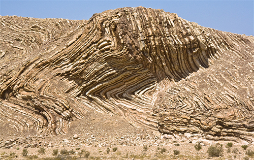 radiolarite(1).jpg