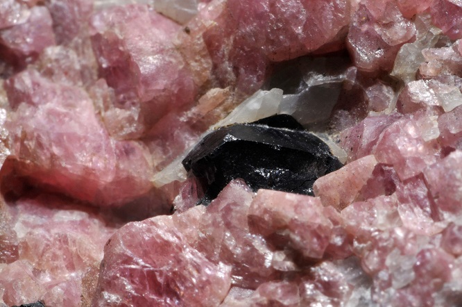 rhodonite2020(3).jpg