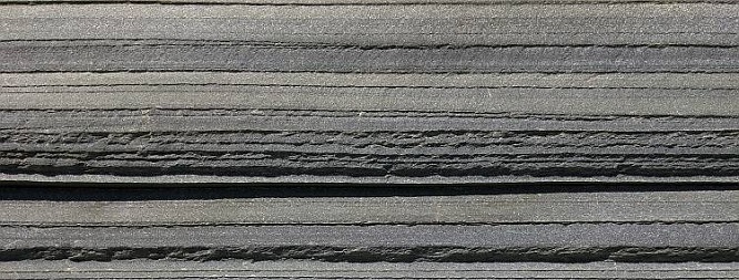 schist2020(4).jpg