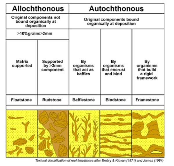 sedimentary(9).jpg