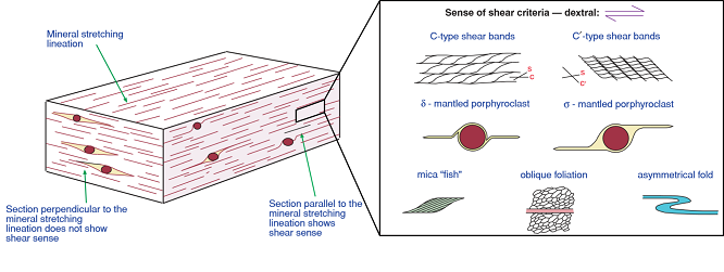 shear_zone_2020(3).png