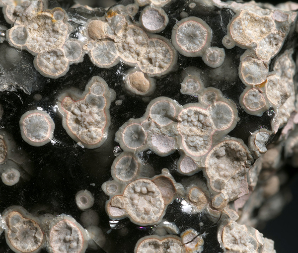 spherulites(3).jpg