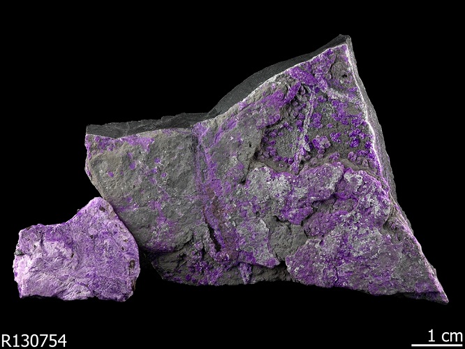 sugilite2020(1).jpg