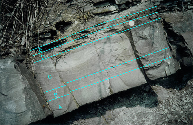turbidite12(3).jpg