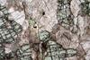 candoglia(diopside)(22).jpg