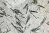 cloritoideinmetaarenaria(6).jpg