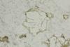 cordieritegranulite(13).jpg