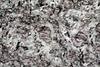 eclogite0241(2).jpg