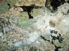 eclogite1(10).jpg