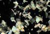 fluorite2012(2).jpg