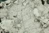 fluorite2012(4).jpg