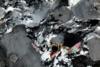 gneiss2012(2).jpg