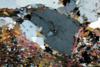 gneiss2012(7).jpg