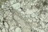 harzburgiteantofillite(14).jpg
