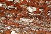 kinzigite2020(27).jpg