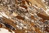 kinzigite2020(42).jpg