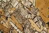kinzigite2020(47).jpg