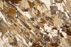 kinzigite2020(71).jpg