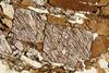 kinzigite2020(76).jpg