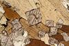 kinzigite2020(82).jpg