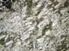 lawsonite11(2).jpg