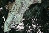 malachite(16).jpg
