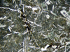 metabasalto(2).jpg