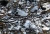 ortogneiss0195(3).jpg