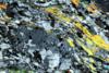 ortogneiss0195(8).jpg
