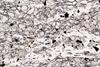 peridotite2015d12)(13).jpg
