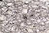 peridotite2015d12)(9).jpg