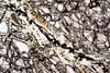 peridotite2017(duria)(11).jpg