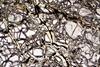 peridotite2017(duria)(12).jpg