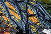 peridotite2017(duria)(16).jpg