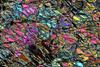 peridotite2017(duria)(44).jpg